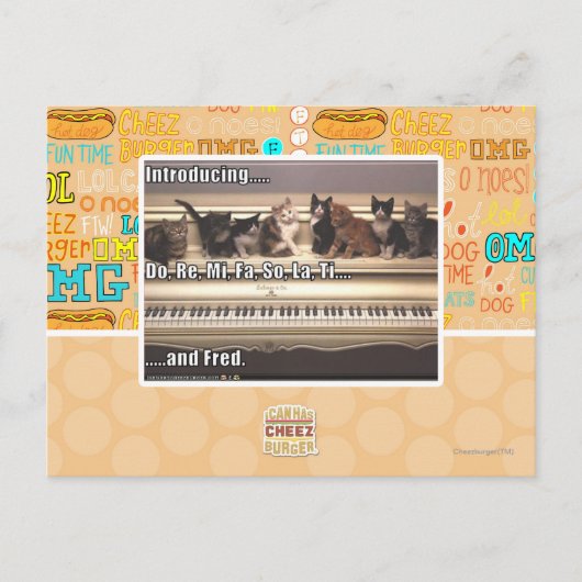 Carte Postale Do, Re, Mi, Fa, Alors, La, Ti, Fred (Devant)