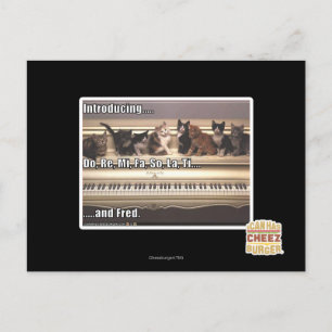 Carte Postale Do, Re, Mi, Fa, Alors, La, Ti, Fred