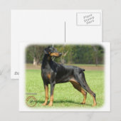 Carte Postale Doberman (Devant / Derrière)