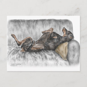 Carte Postale Doberman drôle sur Sofa