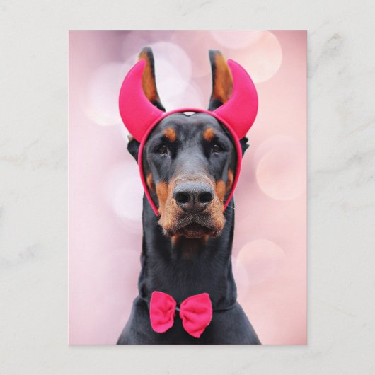 Carte Postale Doberman en costume diabolique (Devant)