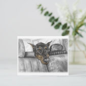 Carte Postale Doberman en voiture (Debout devant)