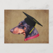 Carte Postale Doberman In Graduation Cap Funny Dog Personalized (Devant)