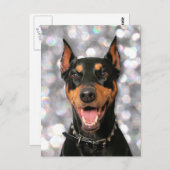 Carte Postale Doberman - Megyan (Devant / Derrière)