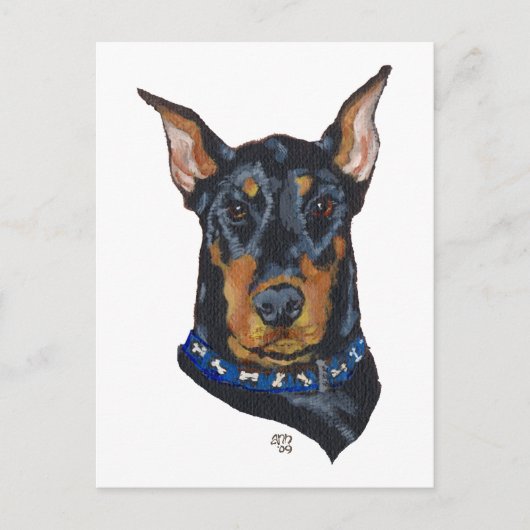 Carte Postale Doberman noir Pinscher (Devant)