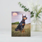 Carte Postale Doberman Pinscher (Debout devant)