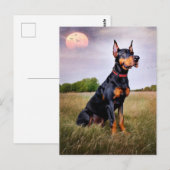 Carte Postale Doberman Pinscher (Devant / Derrière)
