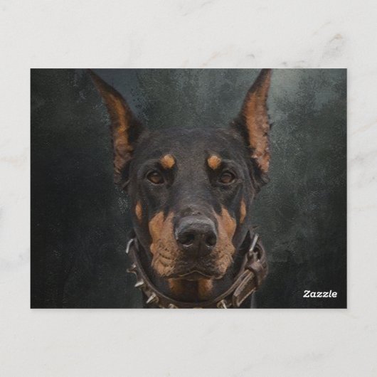 Carte Postale Doberman Pinscher (Dos)