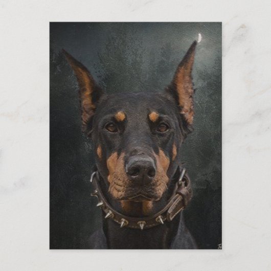 Carte Postale Doberman Pinscher (Devant)