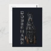 Carte Postale Doberman Pinscher (Devant / Derrière)