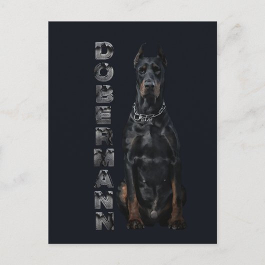 Carte Postale Doberman Pinscher (Devant)