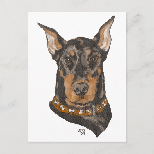 Carte Postale Doberman Pinscher Head Study (Devant)