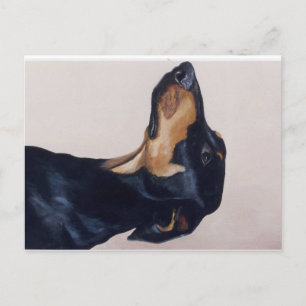 Carte postale Doberman Pinscher Original Chien Art