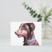 Carte Postale Doberman Pinscher Rouge (Debout devant)