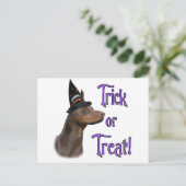 Carte Postale Doberman Pinscher (rouge) Trick (Debout devant)