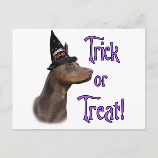 Carte Postale Doberman Pinscher (rouge) Trick (Devant)