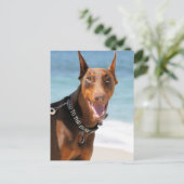 Carte Postale Doberman - Rouge - Mauvais à l'os (Debout devant)