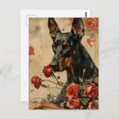 Carte Postale Doberman Saint-Valentin vintage  (Devant / Derrière)