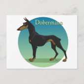 Carte Postale dobermann (Devant)