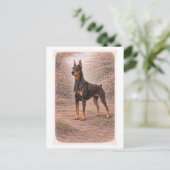 Carte Postale Dobermann de style vintage (Debout devant)