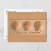 Carte postale d'Ocean City, Maryland (Devant / Derrière)