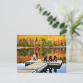 Carte Postale Dock En Bois Sur Le Lac D'Automne (Debout devant)