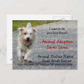 Carte Postale Document de Secourt de chien de petite race (Devant / Derrière)