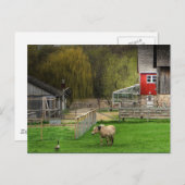 Carte Postale Dodge Nature Centre (Devant / Derrière)