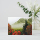 Carte Postale Dodge Road Mist (lumineux) (Debout devant)