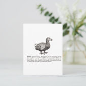 Carte Postale dodo (Debout devant)