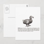 Carte Postale dodo (Devant / Derrière)