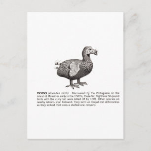 Carte Postale dodo