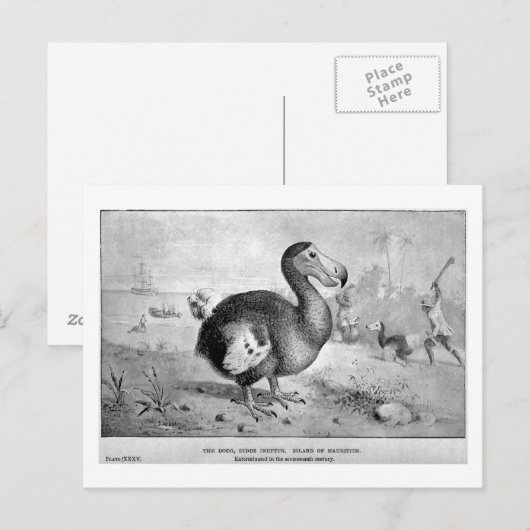 Carte postale Dodo Art (Devant / Derrière)