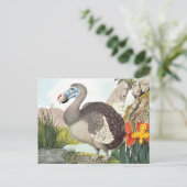 Carte Postale Dodo Bird Art vintage (Debout devant)