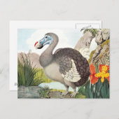 Carte Postale Dodo Bird Art vintage (Devant / Derrière)