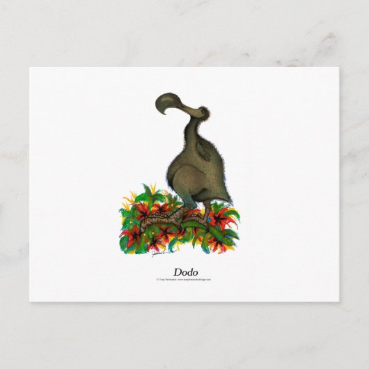 Carte Postale Dodo, tony fernandes (Devant)