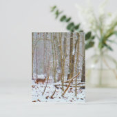 Carte Postale Doe dans la neige, Deer dans le lac Arrowhead (Debout devant)