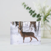 Carte postale Doe hiver (Debout devant)