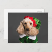 Carte Postale Dog (Devant / Derrière)