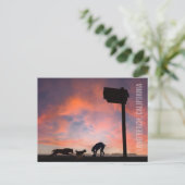 Carte Postale Dog Beach at Sunset - Long Beach, Californie (Debout devant)