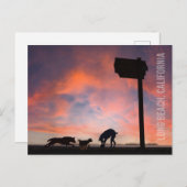 Carte Postale Dog Beach at Sunset - Long Beach, Californie (Devant / Derrière)