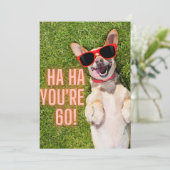 Carte postale Dog de rire 60e anniversaire (Debout devant)