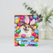 Carte Postale Dog Laying on Easter Eggs (Debout devant)