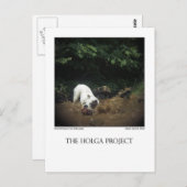 Carte postale Dog Park 14 (Devant / Derrière)