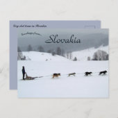 Carte Postale Dog Sled Team in Winter in Slovakia (Devant / Derrière)