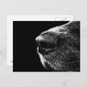 Carte postale Dog Sniffer (Devant / Derrière)