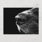 Carte postale Dog Sniffer (Devant)