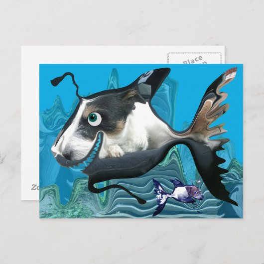 Carte Postale Dogfish Reef (Devant / Derrière)