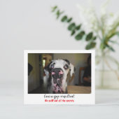Carte Postale Dogge : le chien pour agents secrets (Debout devant)
