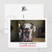 Carte Postale Dogge : le chien pour agents secrets (Devant / Derrière)
